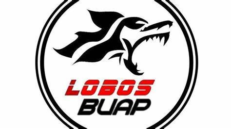 Carrera futbolistica