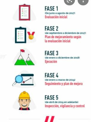 Resolución 0312 de 2019