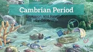 Cambrian