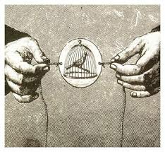 LA PERSISTENCIA RETINIANA