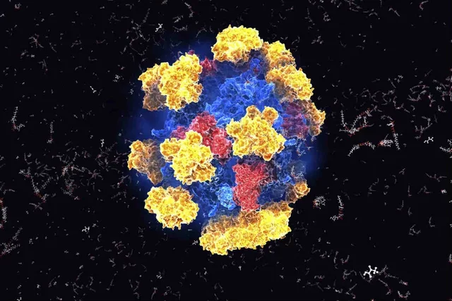 The first isolation of an enzyme