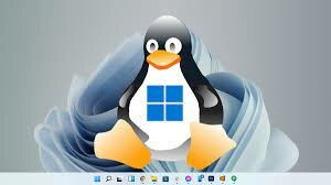 LINUX