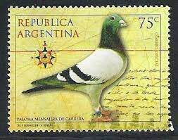 correo por palomas