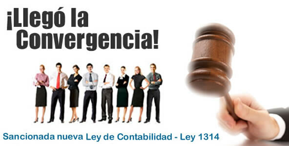 Ley 1314