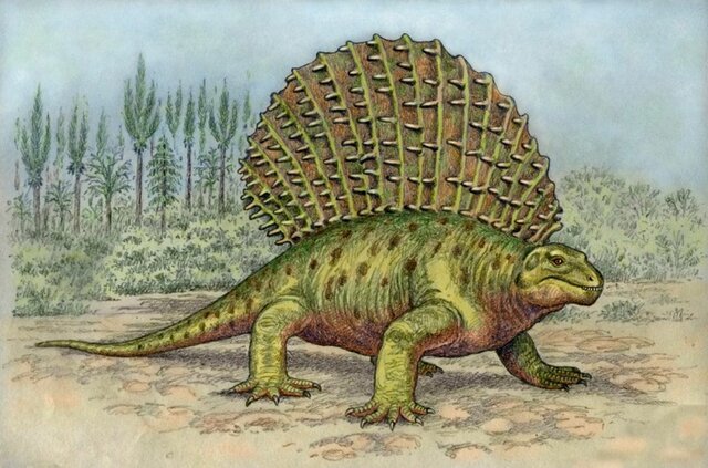 Edaphosaurus