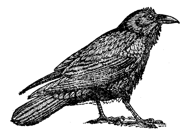 "The Raven" is published