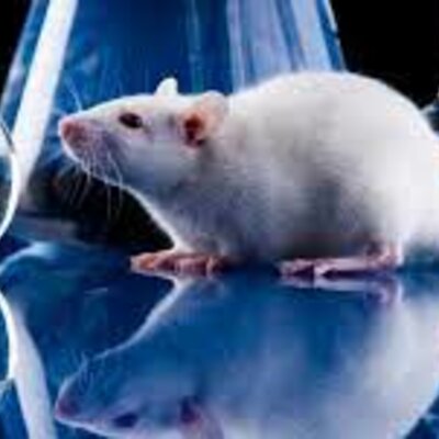 Timeline: Tendencia Al Reemplazo De Animales De Experimentación