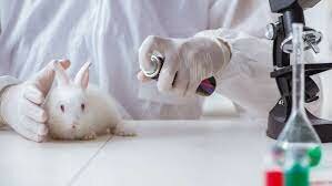 Implementación Le La Primera Etapa