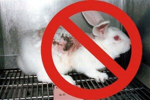 Implementación Completa