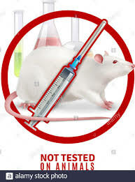 Nuevo Proyecto De La Senadora Magdalena Odarda