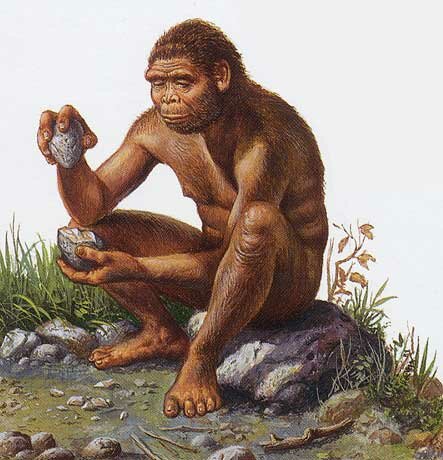 L'età della pietra: l'homo habilis