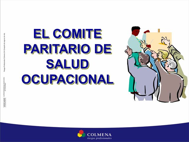 COMITES PARITARIOS DE SALUD OCUPACIONAL