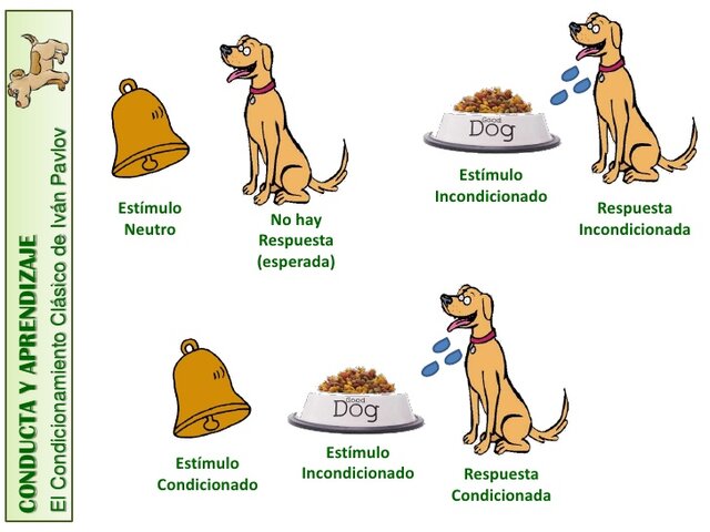 Condicionamiento clásico