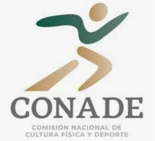 Creación de la Academia de Basquetbol Conade.