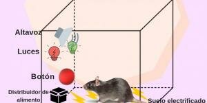 Skinner y el operacionismo.