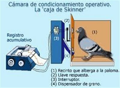 El registro acumulativo de Skinner