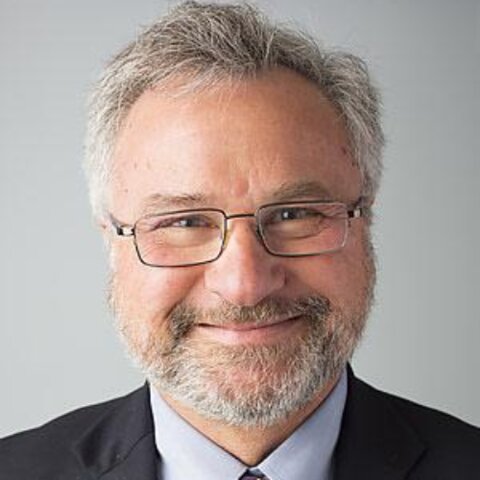 Localizaciones cerebrales de las DA