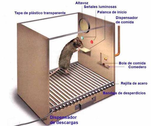 El programa de reforzamiento