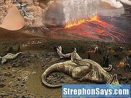 Maa ajaloo suurim väljasuremine