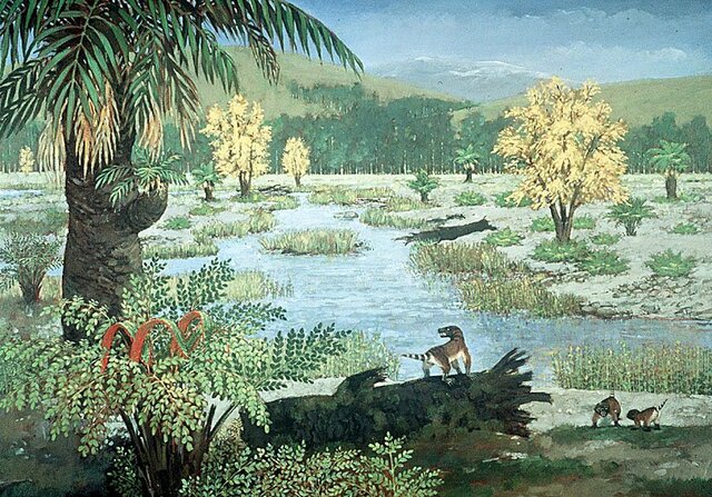 Triias