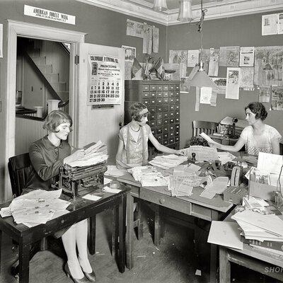 Timeline: История медиа