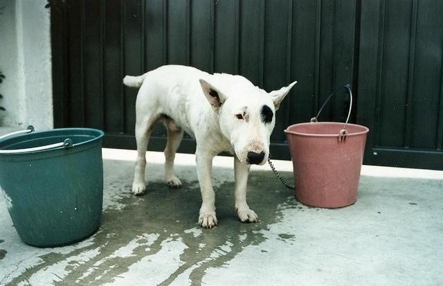 Logan wird gewaschen