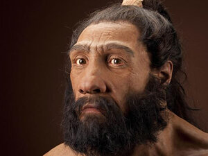 HOMO NEANDERTHALENSIS