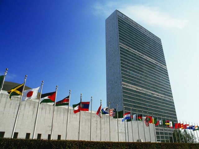 Organización de las Naciones Unidas