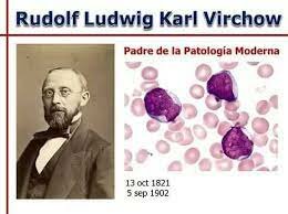 Se descubre la reproducción celular