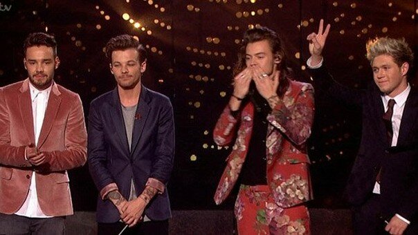 indefinite hiatus from One Direction