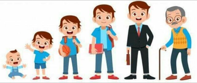 Los seis periodos cronológicos