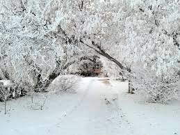 +4 Arriving to Alberta, a Snowy Welcome!