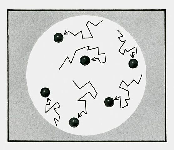 Movimiento browniano