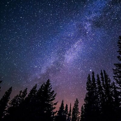 Timeline: Linia del temps 1