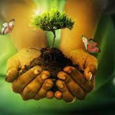 Timeline: activitat 2