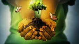 Timeline: activitat 2