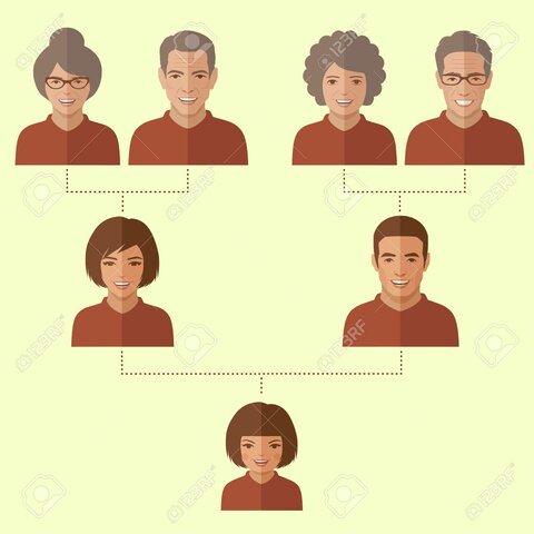 SE CONOCEN 5 GENERACIÓNES DE LA INFORMÁTICA