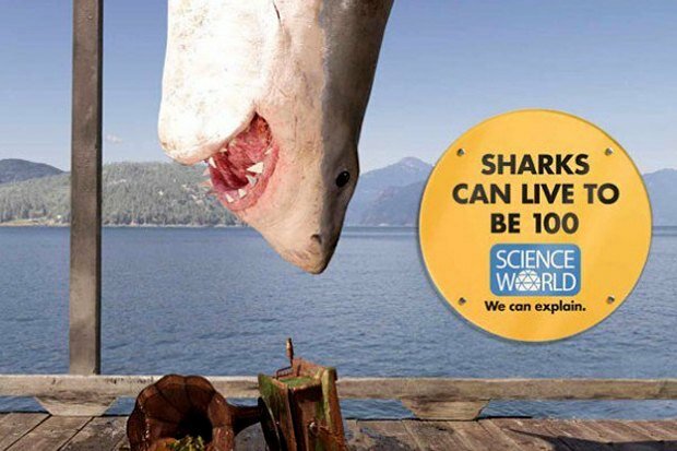 PR-кампании для музея в Ванкувере