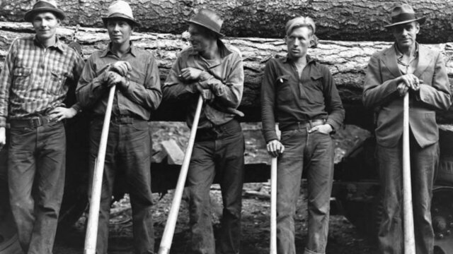 Джинсы. Ливай Страусс