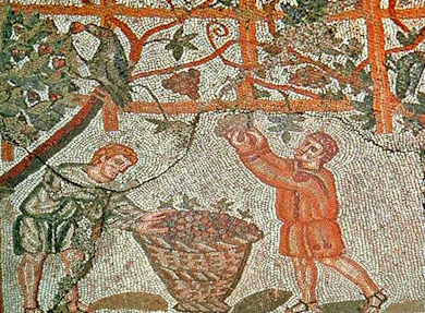 Small Farmers began to demand changes to power structure