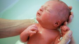 Timeline: la vita di gianni rodari humphrey 4c