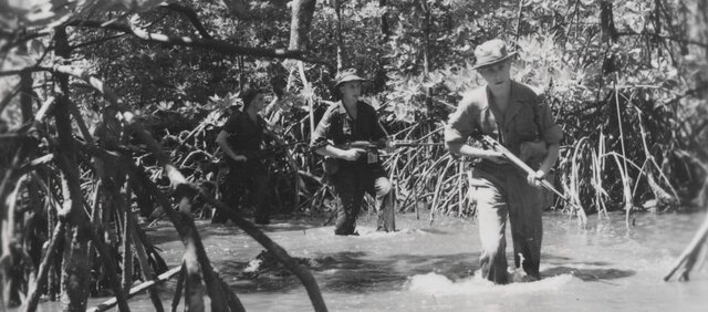 The Malayan emergency