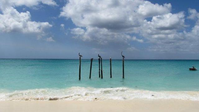 el viaje de Aruba