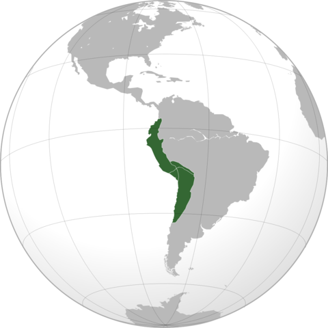 Fernando Pizarro conquista l'Impero inca