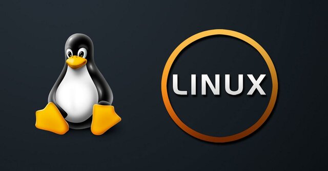 LINUX