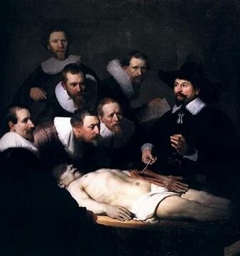 La lliçó d'anatomia