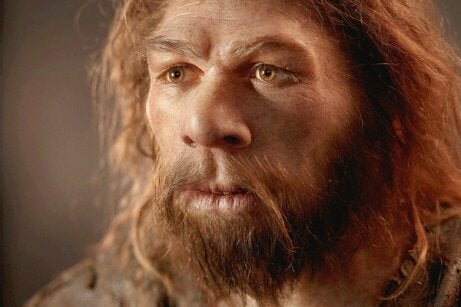 Homo Neanderthalensis