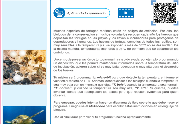 Creación del primer de computador