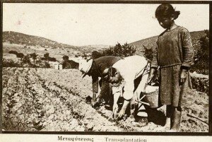 THE DEVELOPMENT OF ENTREPRENEUSHIP