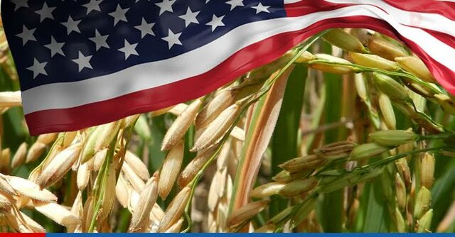 Creación del Servicio de Conservación de Tierras